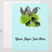 Old English Barred Bantam Family (Vorne/Hinten)