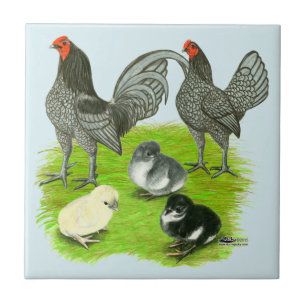 Old English Blue Game Family Fliese