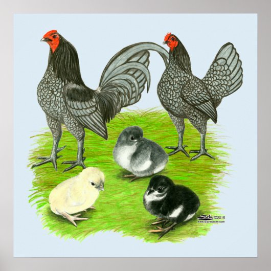 Old English Blue Game Family Poster (Vorne)