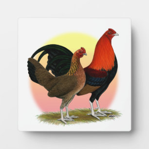 Old English Game Bantam: BB Red Fotoplatte