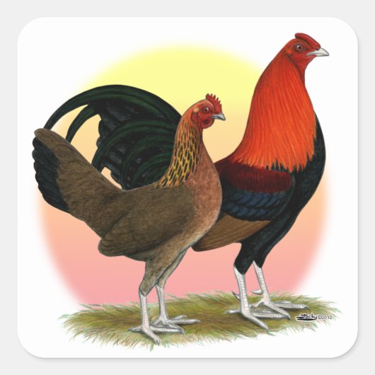 Old English Game Bantam: BB Red Quadratischer Aufkleber (Vorderseite)