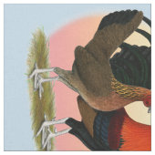 Old English Game Bantam: BB Red Stoff (Nahaufnahme)