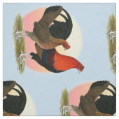 Old English Game Bantam: BB Red Stoff (Muster)