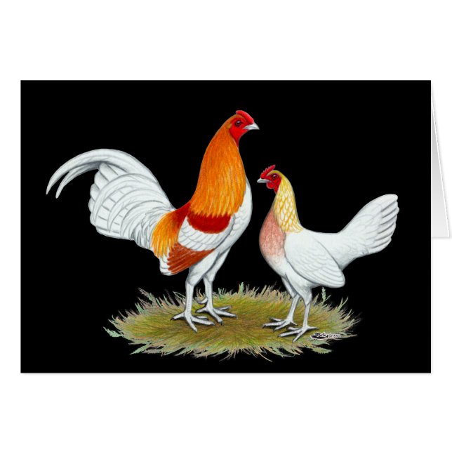 Old English Game Bantam: Red Pyle (Vorderseite (Horizontal))
