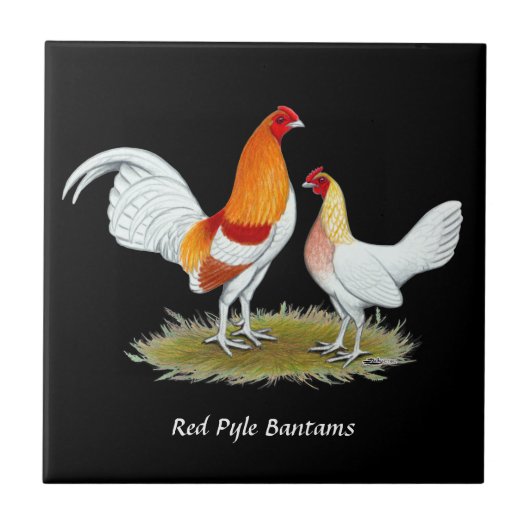 Old English Game Bantam: Red Pyle Fliese (Vorderseite)
