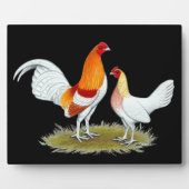 Old English Game Bantam: Red Pyle Fotoplatte (Vorderseite)