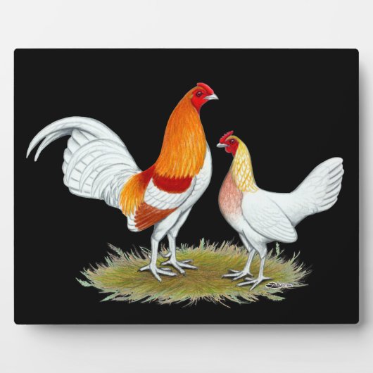 Old English Game Bantam: Red Pyle Fotoplatte (Vorderseite)