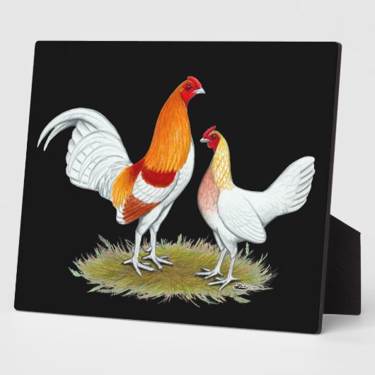 Old English Game Bantam: Red Pyle Fotoplatte (Seite)