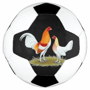 Old English Game Bantam: Red Pyle Fußball