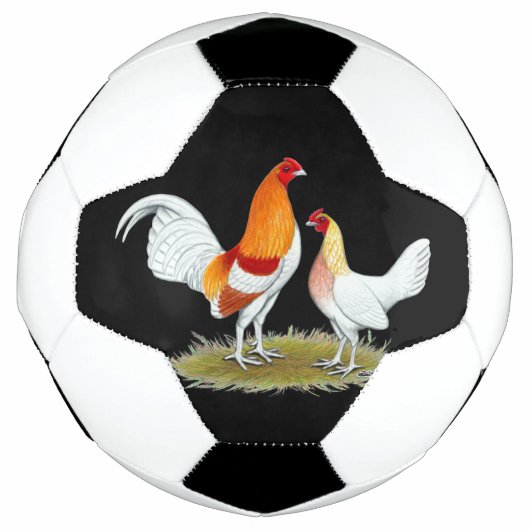 Old English Game Bantam: Red Pyle Fußball (Vorderseite)