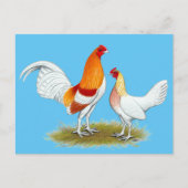 Old English Game Bantam:  Red Pyle Postkarte (Vorderseite)