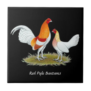 Old English Game Bantam:  Rot Pyle Fliese