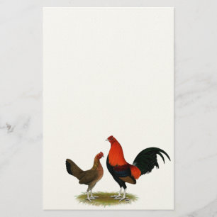 Old English Game Bantams: BB Red Pair Briefpapier