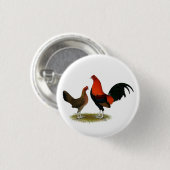 Old English Game Bantams: BB Red Pair Button (Vorne & Hinten)