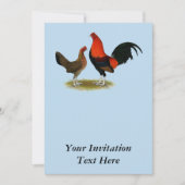 Old English Game Bantams: BB Red Pair Einladung (Vorderseite)