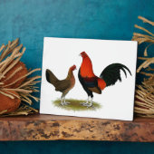 Old English Game Bantams: BB Red Pair Fotoplatte (Seite)