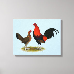 Old English Game Bantams: BB Red Pair Leinwanddruck