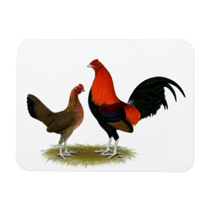 Old English Game Bantams: BB Red Pair Magnet