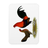 Old English Game Bantams: BB Red Pair Magnet (Vertikal)