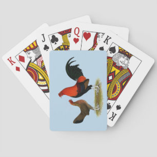 Old English Game Bantams: BB Red Pair Spielkarten