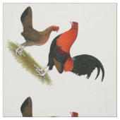 Old English Game Bantams: BB Red Pair Stoff (Muster)