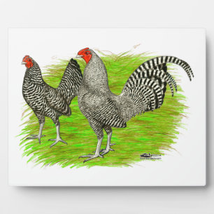 Old English Game Barred Chickens Fotoplatte