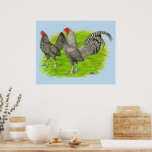 Old English Game Barred Chickens Poster (Küche)
