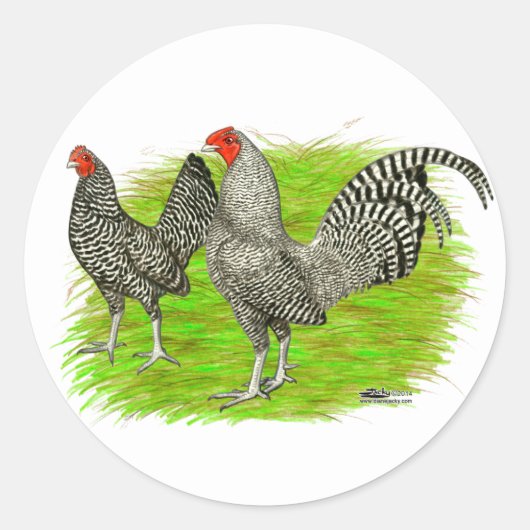 Old English Game Barred Chickens Runder Aufkleber (Vorderseite)
