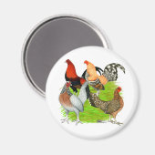 Old English Game Quartett Magnet (Vorderseite/Rückseite)