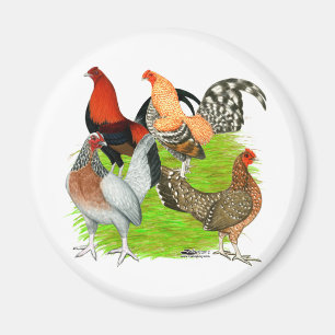 Old English Game Quartett Magnet