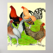 Old English Game Quartett Poster (Vorne)