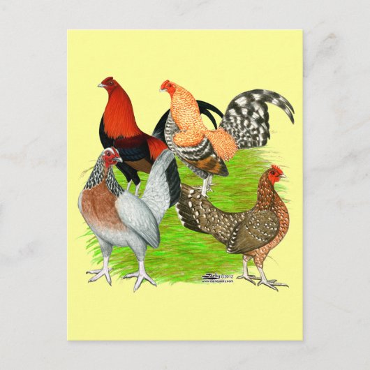 Old English Game Quartett Postkarte (Vorderseite)