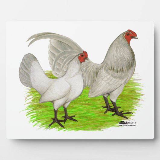 Old English Game Self Blue Fotoplatte (Vorderseite)