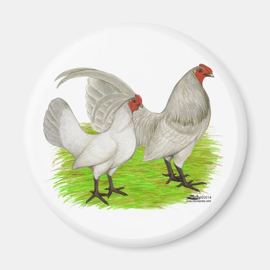 Old English Game Self Blue Magnet (Vorne)