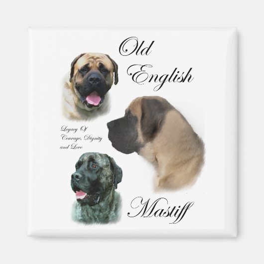 Old English Mastiff Geschenke Magnet (Vorne)