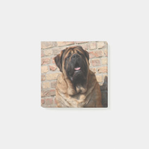 old english Mastiff     Post-it Klebezettel