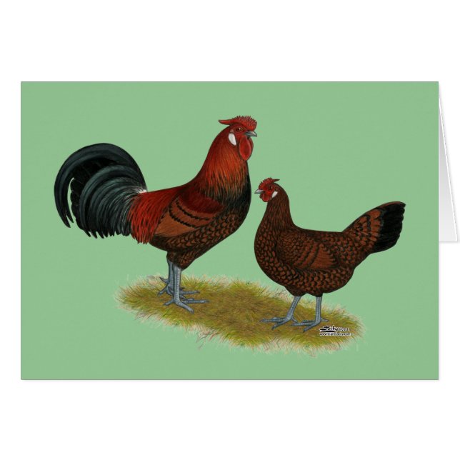 Old English Pheasant Fowl (Vorderseite (Horizontal))