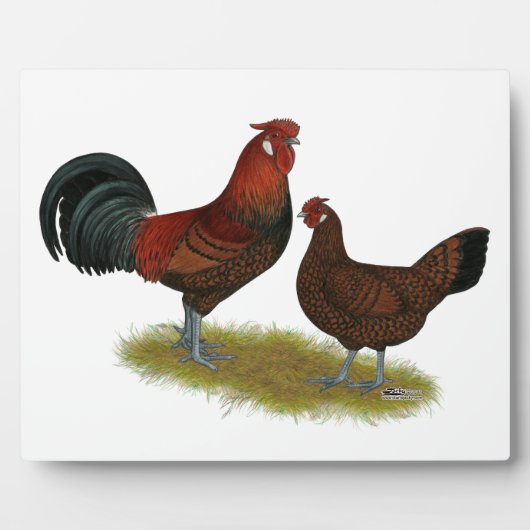 Old English Pheasant Fowl Fotoplatte (Vorderseite)