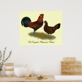 Old English Pheasant Fowl Poster (Küche)