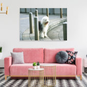 Old English Sheep Dog Leinwanddruck (Insitu (Wohnzimmer))