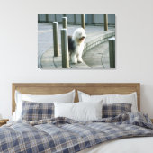 Old English Sheep Dog Leinwanddruck (Insitu (Schlafzimmer))