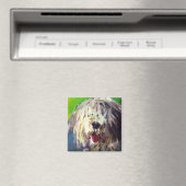 Old English Sheep Dog Magnet (In Situ (Geschirrspüler))