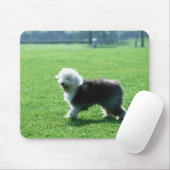 Old English Sheep Dog Mousepad (Mit Mouse)