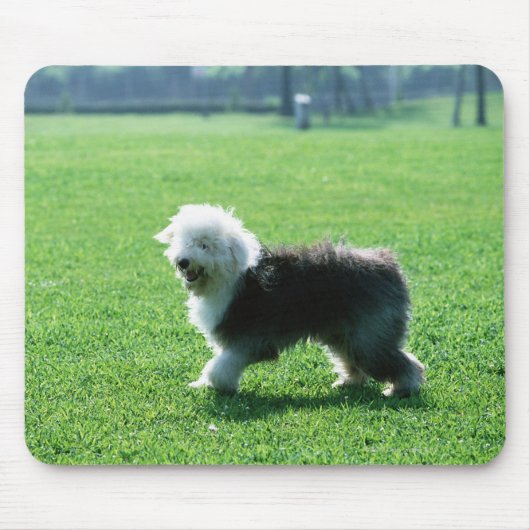 Old English Sheep Dog Mousepad (Vorne)