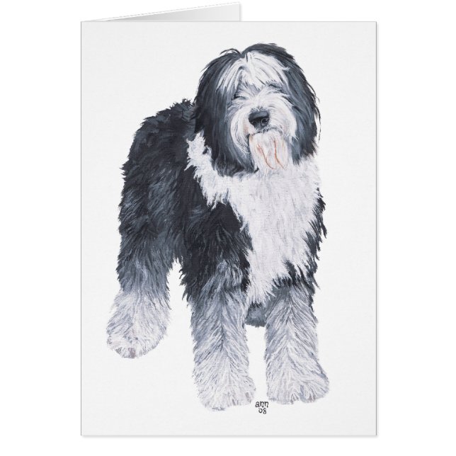 Old English Sheepdog (Vorne)