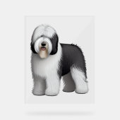 Old English Sheepdog 10 Acrylschild (Vorderseite)