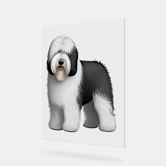 Old English Sheepdog 10 Acrylschild (Winkel)