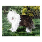 Old English Sheepdog Art Fotodruck (Vorne)