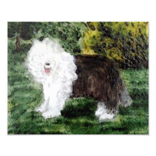 Old English Sheepdog Art Fotodruck (Vorne)