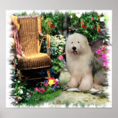 Old English Sheepdog Art Print Poster (Vorne)